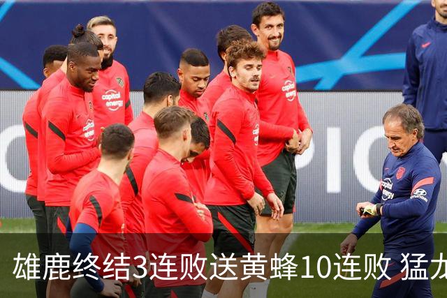 雄鹿终结3连败送黄蜂10连败 猛龙送火箭3连败